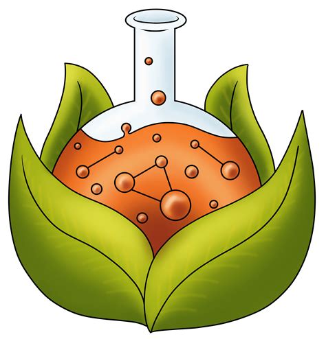 Natural Chemistry – Outdoors! | Green Teacher