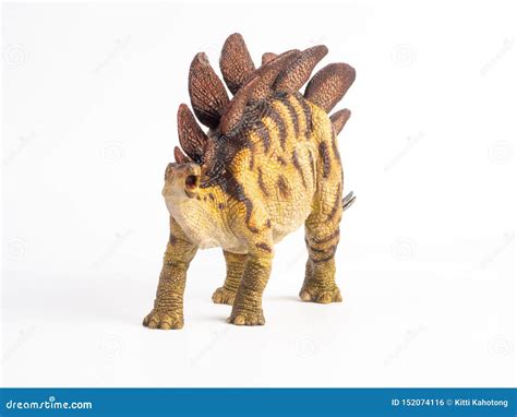 Dinosaure De Stegosaurus Sur Le Fond Blanc Photo Stock Image Du