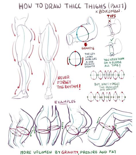 Pin On Anatomy Reference And Figure Drawing