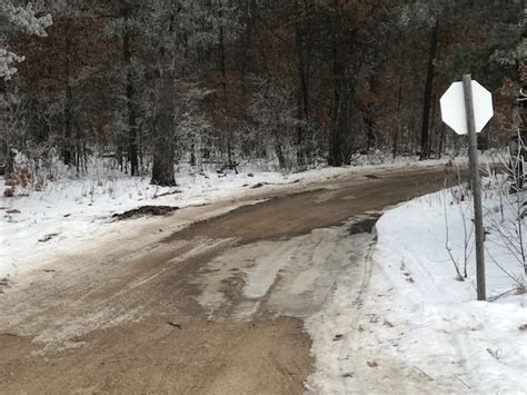 Frosty Trees on a saturday morning | Sledheads of Frederic