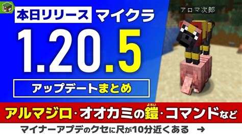 【もはや大型アプデ】マイクラ1205 新要素まとめ アルマジロ・オオカミ・コマンド構文の変更など【minecraft ひるクラ