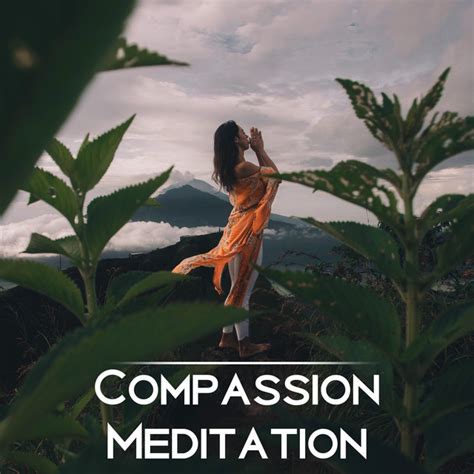 Compassion Meditation Increases Attention Openness Care And