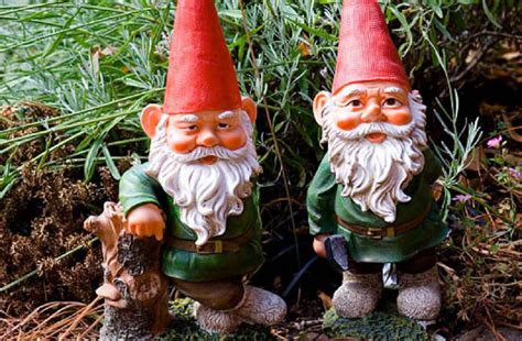 De dónde vienen los gnomos Gnomos y Duendes