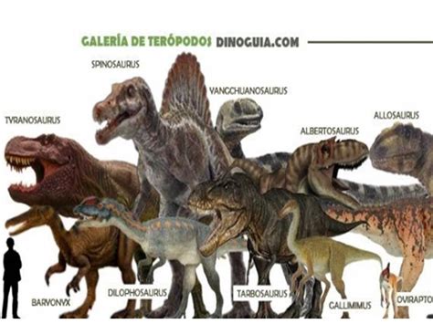 Dinosaurios Carnivoros Y Herbivoros