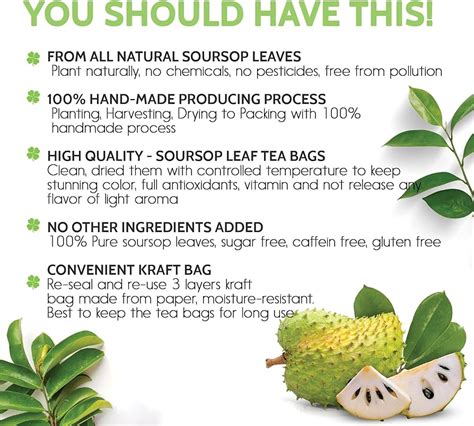 15 Health Benefits Of Soursop Leaves Dietpedia Net