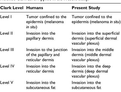 Figure 1 From Tumor Thickness And Modified Clark Level In Canine