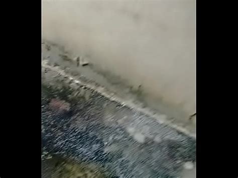 Branquinho Safado Timido Na Cunheta XVIDEOS