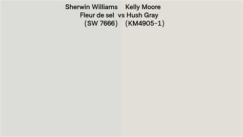 Sherwin Williams Fleur De Sel Sw Vs Kelly Moore Hush Gray