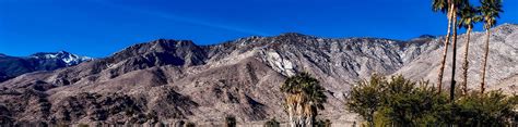 Discover 10 Amazing Hiking Routes in Palm Springs, USA | 10Adventures