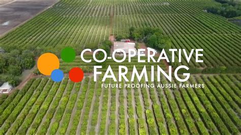 Agricultural Cooperatives Importance Types Pros Cons Off