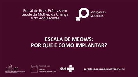 Escala De Meows Por Que E Como Implantar Ppt