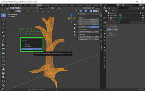 Blender 2 91 un arbre sculpté Rodicq Art No