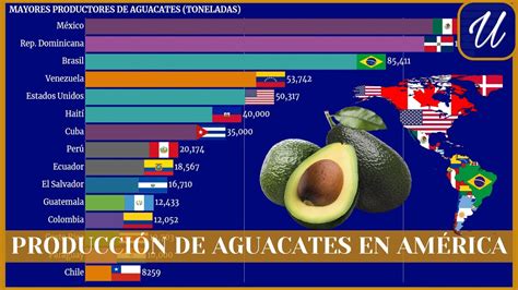 Los Mayores Productores De Aguacate De AmÉrica Youtube