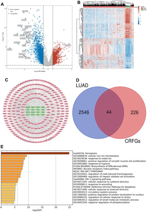 Identification And Integration Analysis Of A Novel Prognostic Signature