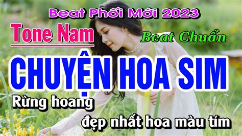 Karaoke Chuy N Hoa Sim Tone Nam Tone V A D H T Youtube