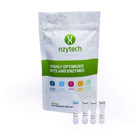 Kit de reactivos para síntesis de ADNc MB125 NZYTech