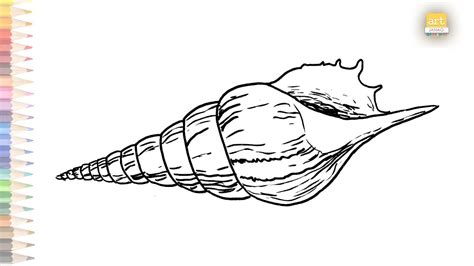 How To Draw A Conch Shell