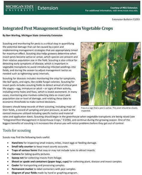 Integrated Pest Management Scouting In Vegetable Crops Integrated Pest Management