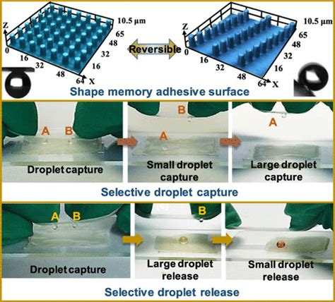 Smart Superhydrophobic Shape Memory Adhesive Surface Toward Selective