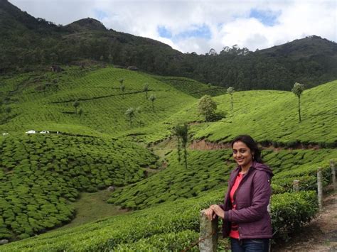 Munnar And Thekkady Lush Green Tea Gardens To Aromatic Spice Plantations Tripoto