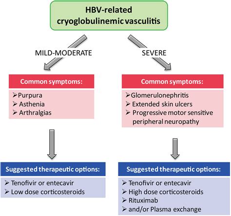 Frontiers Hepatitis B Virus Infection Related Cryoglobulinemic