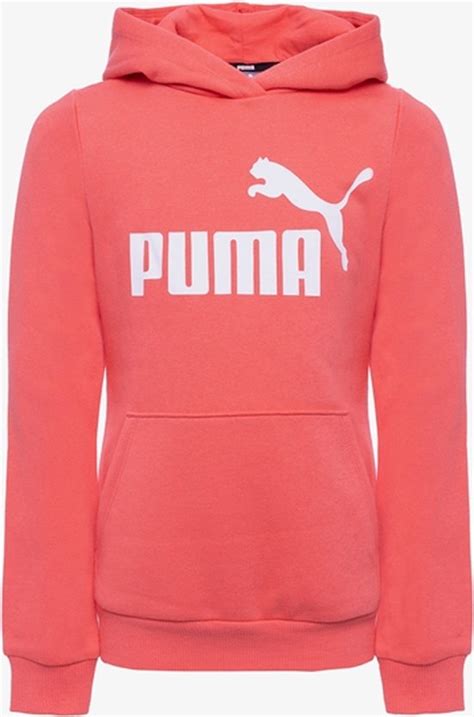 Puma Essentials Big Logo Kinder Hoodie Roze Maat 170 176