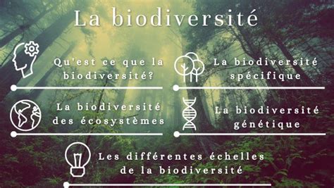 Les échelles de la biodiversité