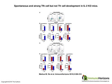 Spontaneous And Strong Tfh Cell But Not Tfr Cell Development In IL 2 KO