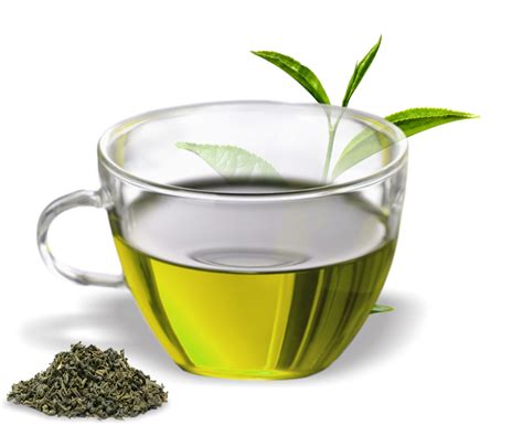 Green Tea Assam Tea Oolong Herbal Tea Green Tea Png Download 805