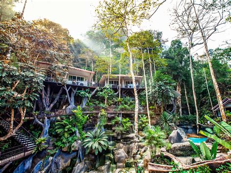 Khao Sok National Park Tree House