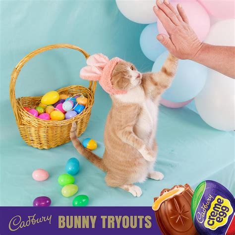 The Winner Of The 2023 Cadbury Clucking Bunny Contest Has Been Chosen