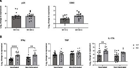 Figure 4 From IL 27 Alters Inflammatory Cytokine Expression And Limits