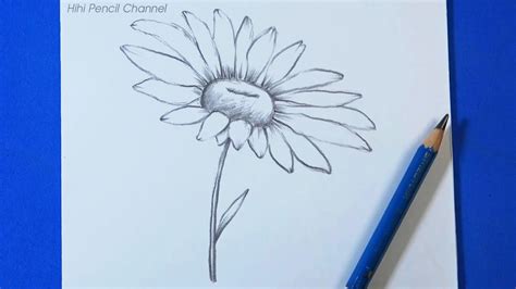 How To Draw A Daisy Flower Step By Step Hihi Pencil Youtube