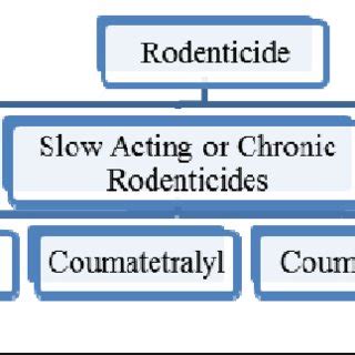 Different types of presently available rodenticides | Download ...