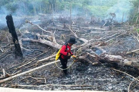 Titik Panas Terdeteksi Di Kaltim Tersebar Di Empat Kabupaten Kota