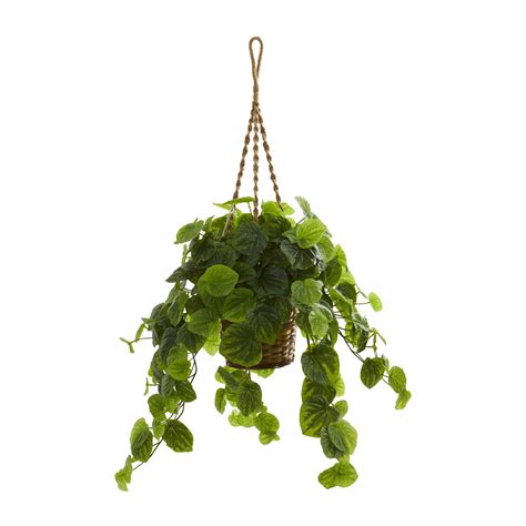 Nearly Natural 34" Peperomia Artificial Plant in Hanging Basket (Real ...