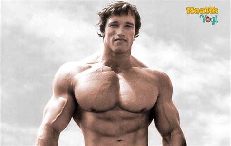 Arnold Schwarzenegger Bodybuilding Workout Chart Eoua Blog