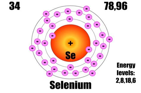 Tomo De Selenio Con Niveles De Masa Y Energ A Vector Premium