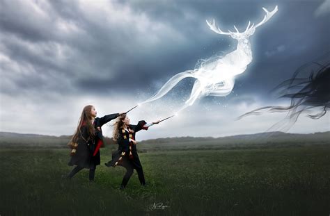 Expecto Patronum 2020 | if 2020 were an Dementor so we would… | Flickr