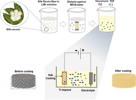 A Schematic Photograph Of The Preparation Of The Silk Fibroin Solution