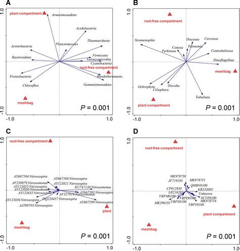 Redundancy Analysis Rda Biplots Showing Relationships Between