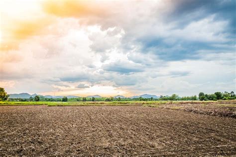 Remineralizadores De Solo Parte Agro Insight Curadoria Agro