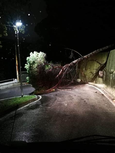 Nottata Di Maltempo Allagamenti Alberi Caduti E Frane Foto