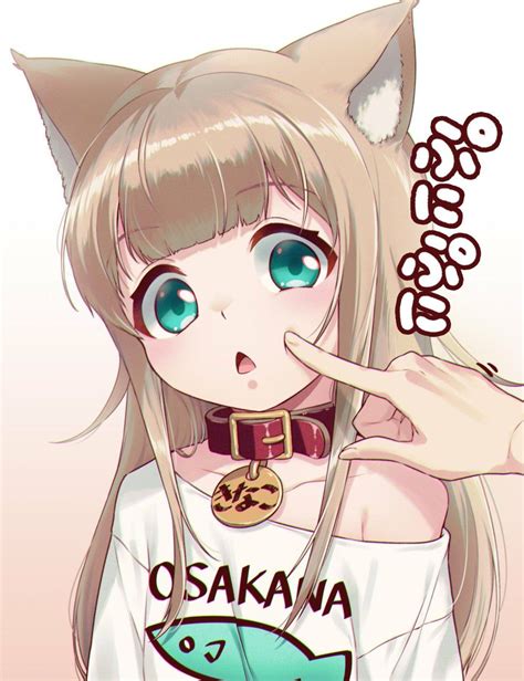 Kawaii Neko Girl Lolis Neko Chica Gato Neko Anime Anime Girl Neko