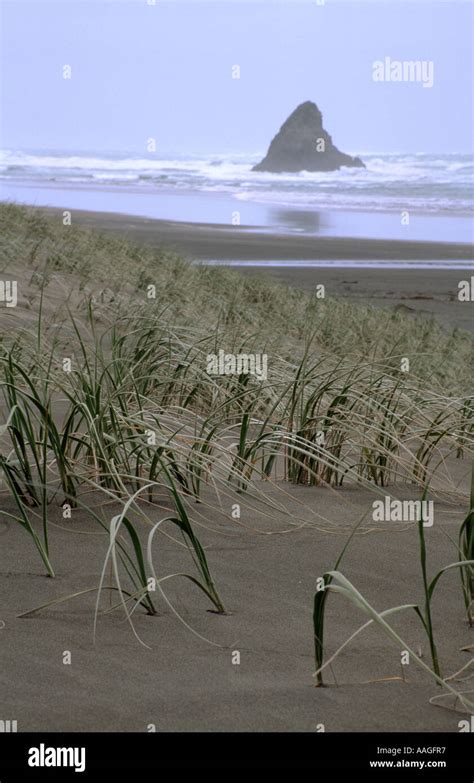 Karekare Beach North Island New Zealand Stock Photo - Alamy