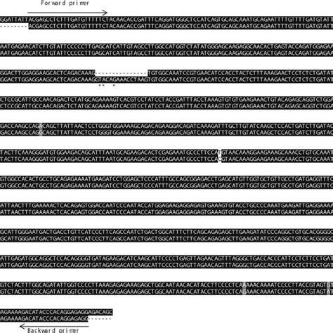 Modeling of OVAX from the three-dimensional structure of ovalbumin. A ...