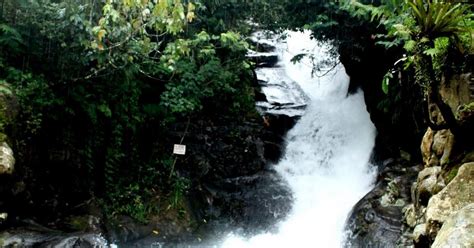 Pendakian Gunung Paseban Megamendung Bagian Pertama