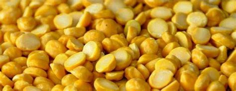 Yellow Organic Chana Dal At Rs 160 Kg In Sikandrabad ID 2851778810633