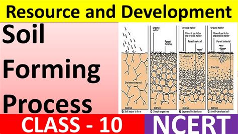 Topic 18 Soil Forming Processes Geography Ch1 Resource And