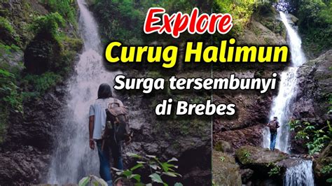 Curug Halimun Surga Tersembunyi Di Brebes Jawa Tengah Youtube